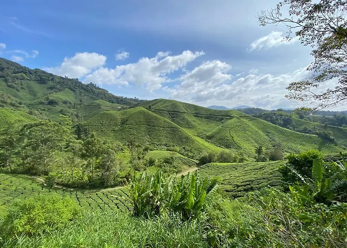 Eisya Homestay Emerald Avenue Brinchang